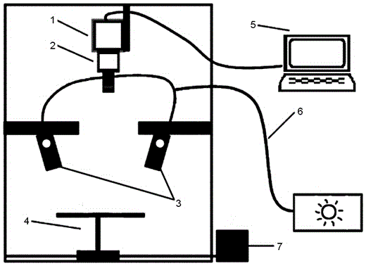 Nondestructive identification method of rice with industrial wax