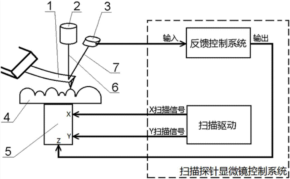 Novel scanning probe microscope detecting method and system