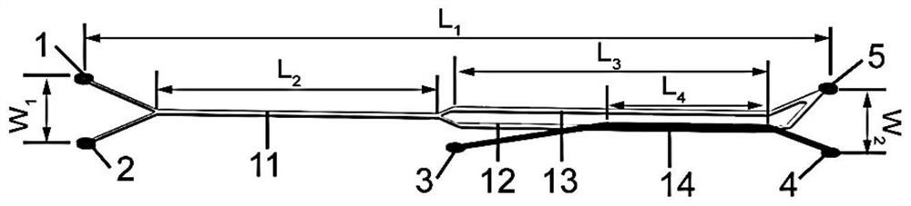 Three-dimensional microfluidic chip and method for improving cell purity magnetic separation