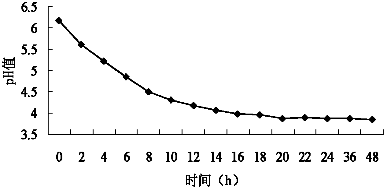 Lactic acid bacteria used for silage corn and use method thereof