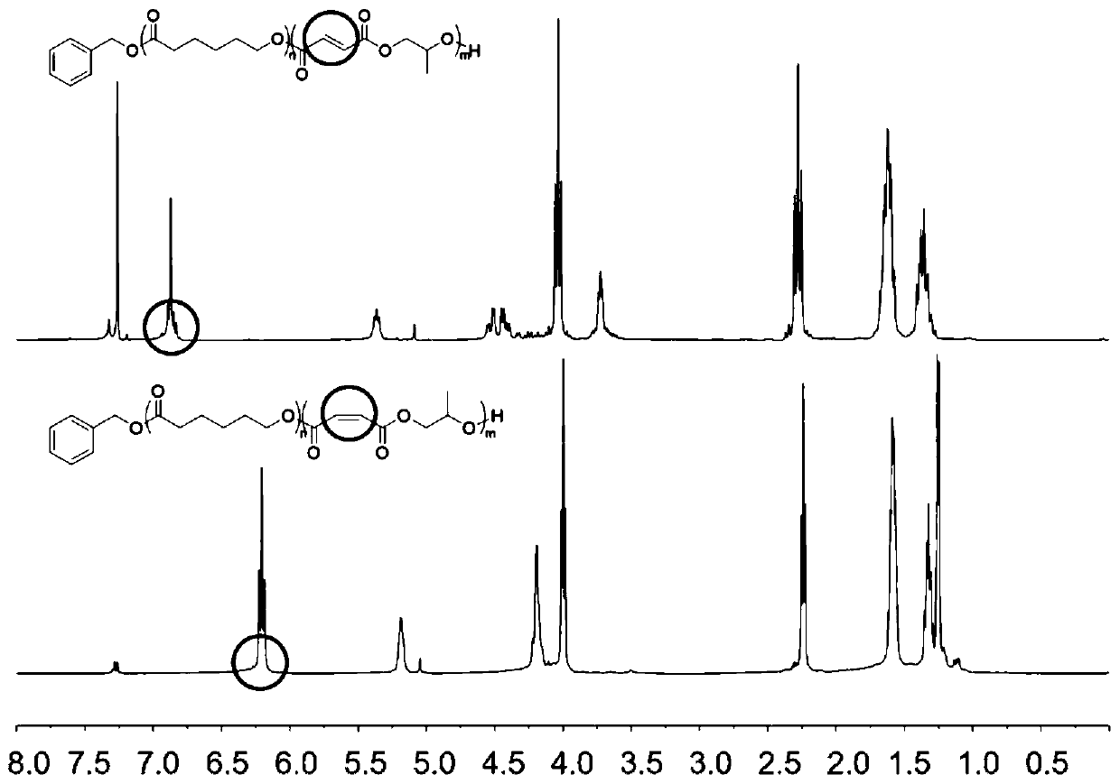 Block copolymers of lactones and poly(propylene fumarate)