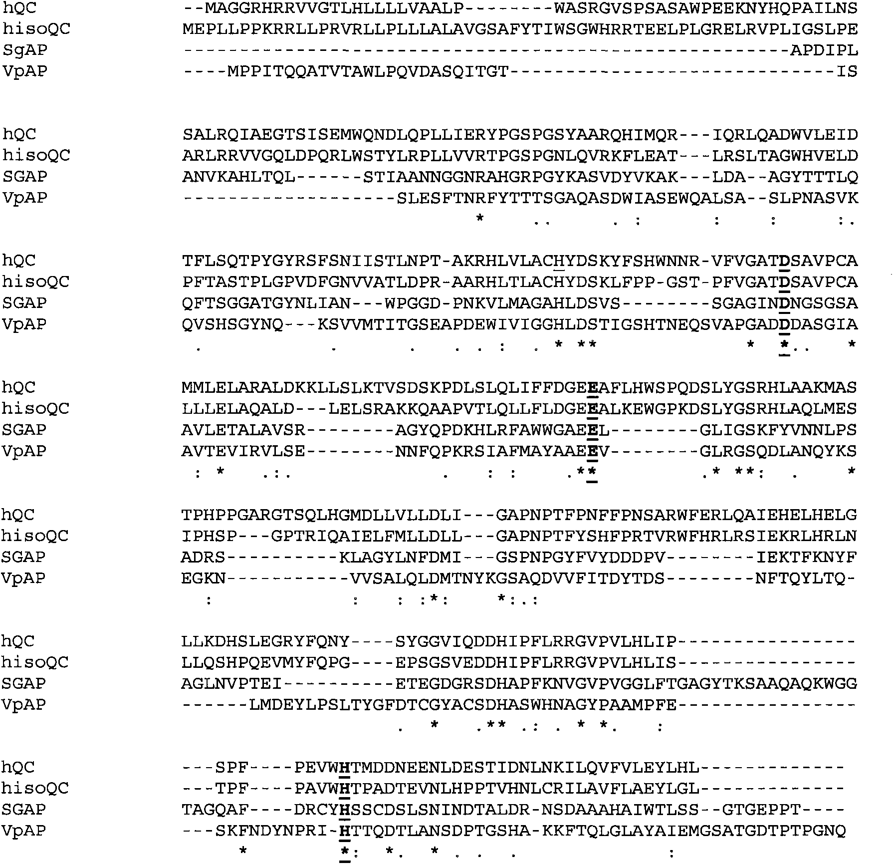 Novel genes related to glutaminyl cyclase