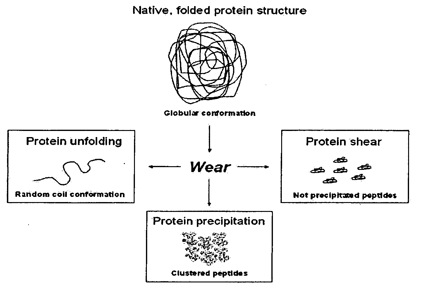 Lubricant for wear testing of joint replacements and associated materials