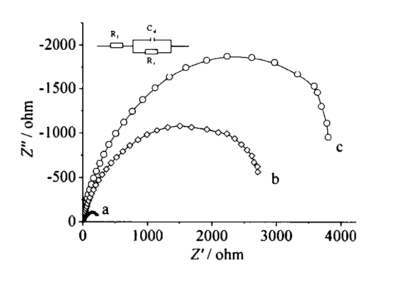 A kind of bipolar membrane and preparation method thereof