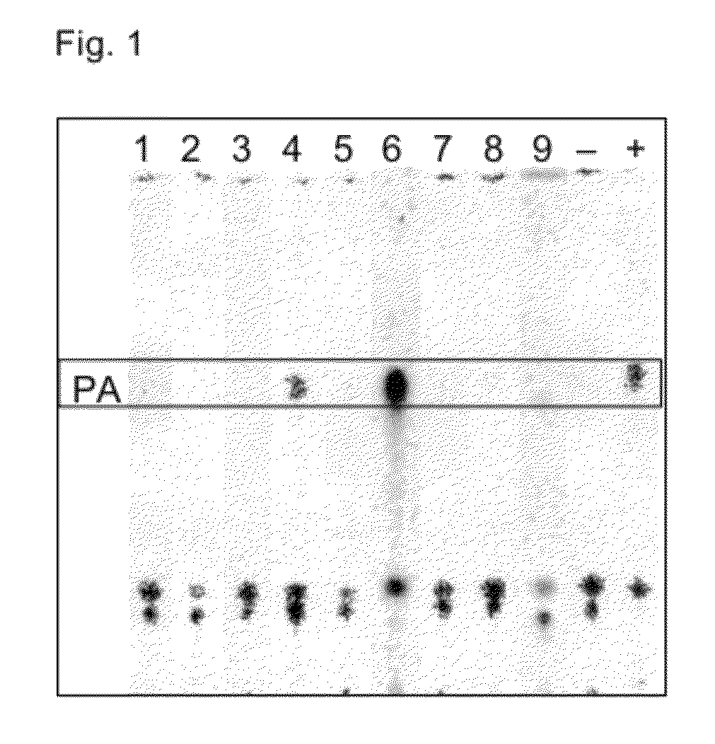 Acyltransferases and uses thereof in fatty acid production