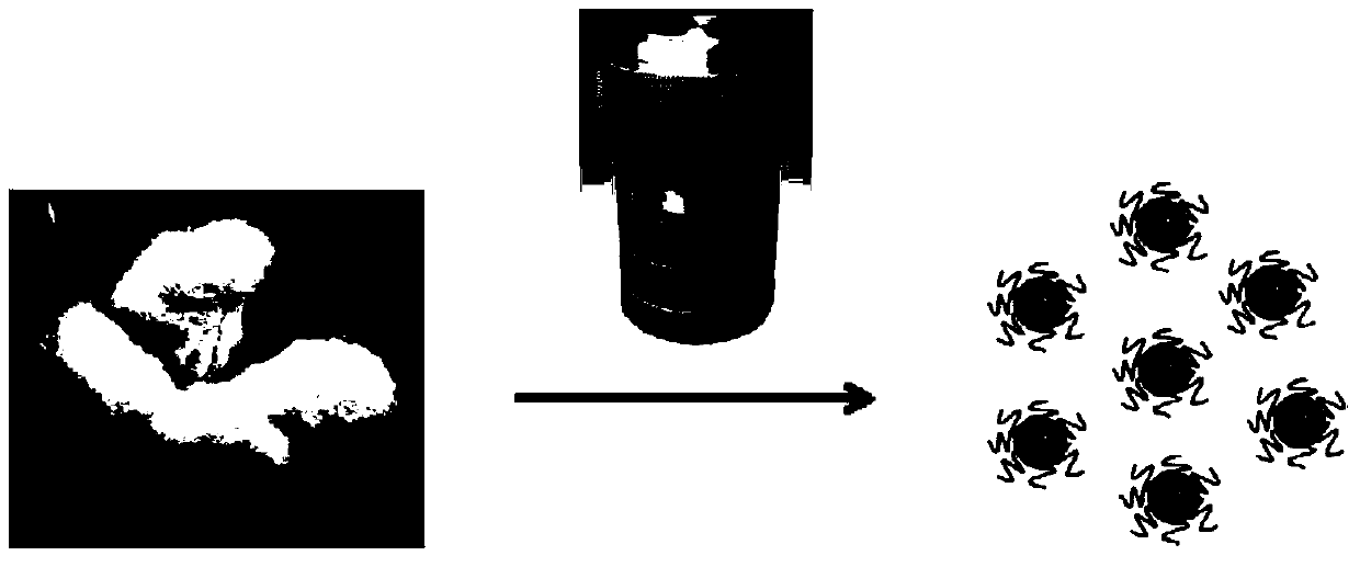 Hydrothermal synthesis method of carbon quantum dots from cotton