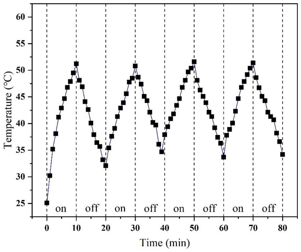 Tumor targeted diagnosis and treatment integrated nanoparticle and application thereof