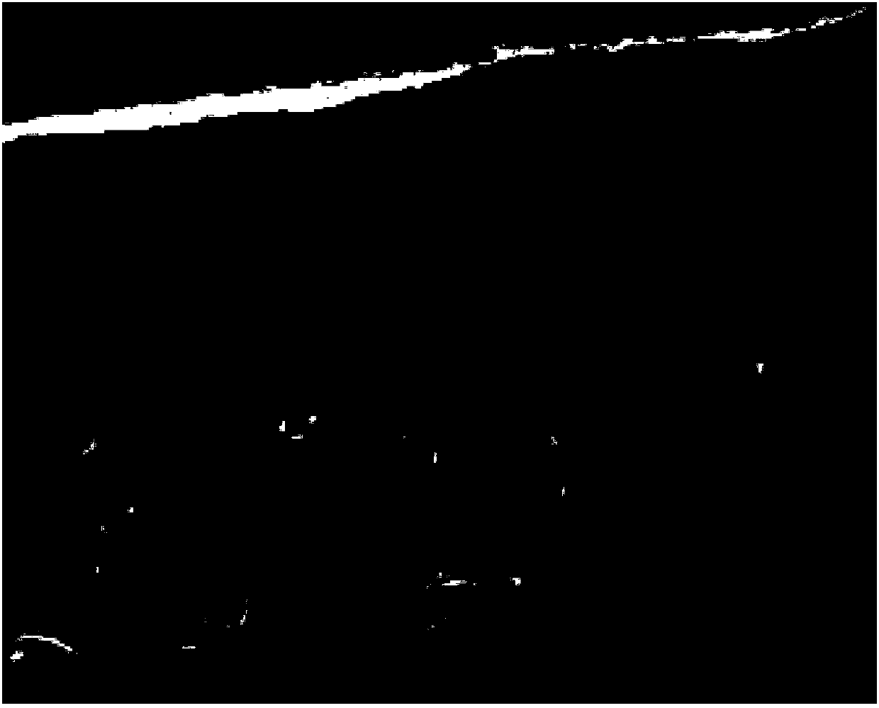 Lithium metal alloy negative electrode material and preparation method and application thereof