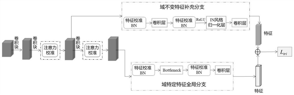 Double-branch cross-domain pedestrian re-identification method based on attention calibration