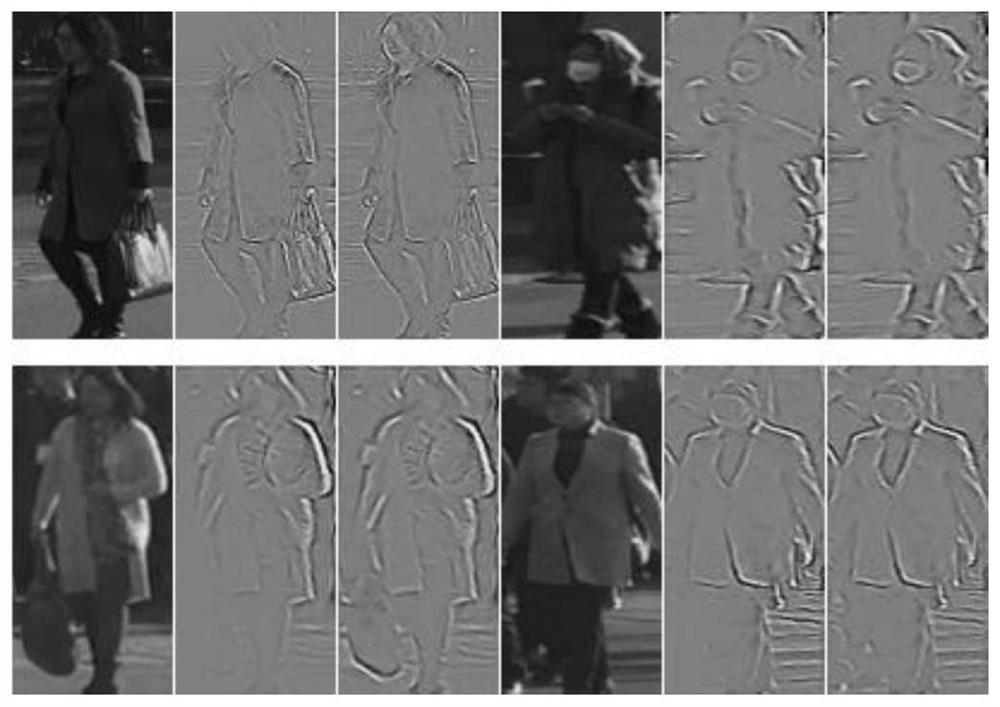 Double-branch cross-domain pedestrian re-identification method based on attention calibration