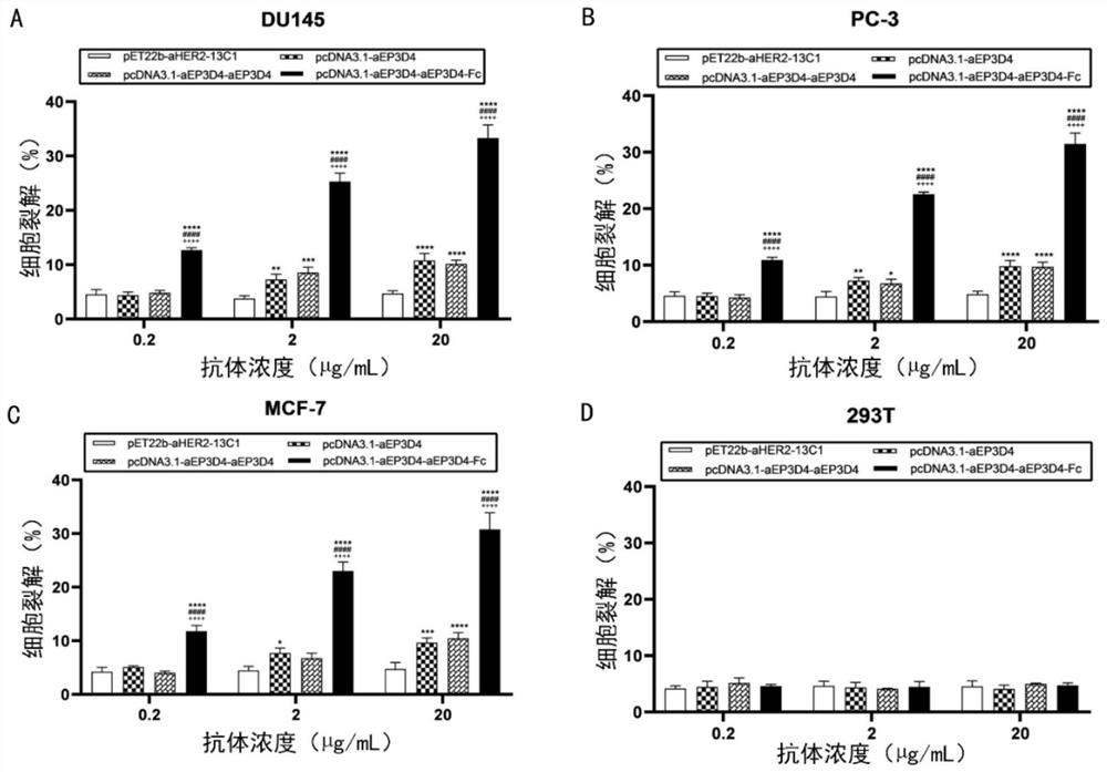 Engineered binding proteins of EpCAM and uses thereof