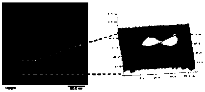 Evans blue complex as well as preparation method and application thereof