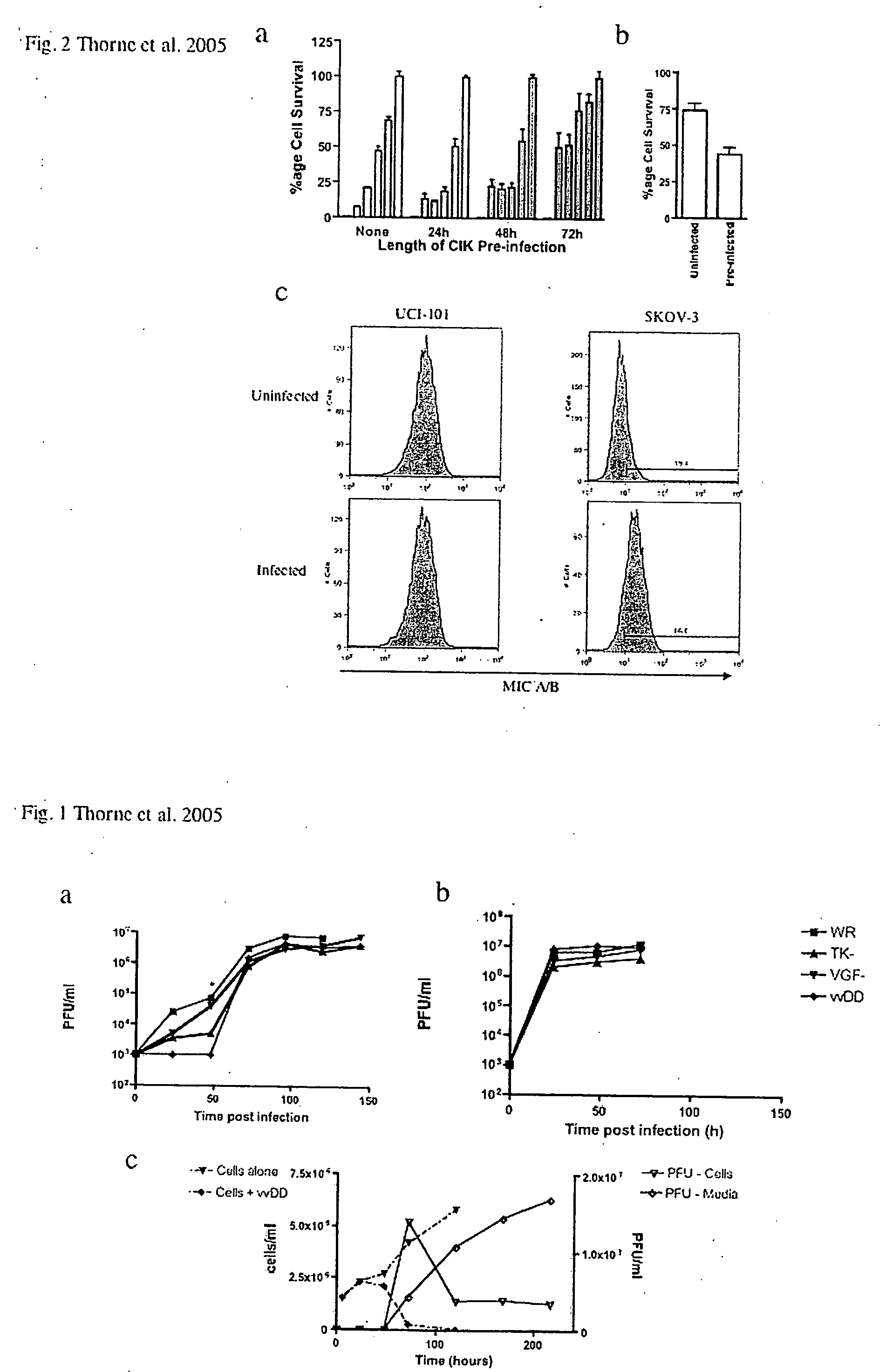 Immune effector cells pre-infected with oncolytic virus