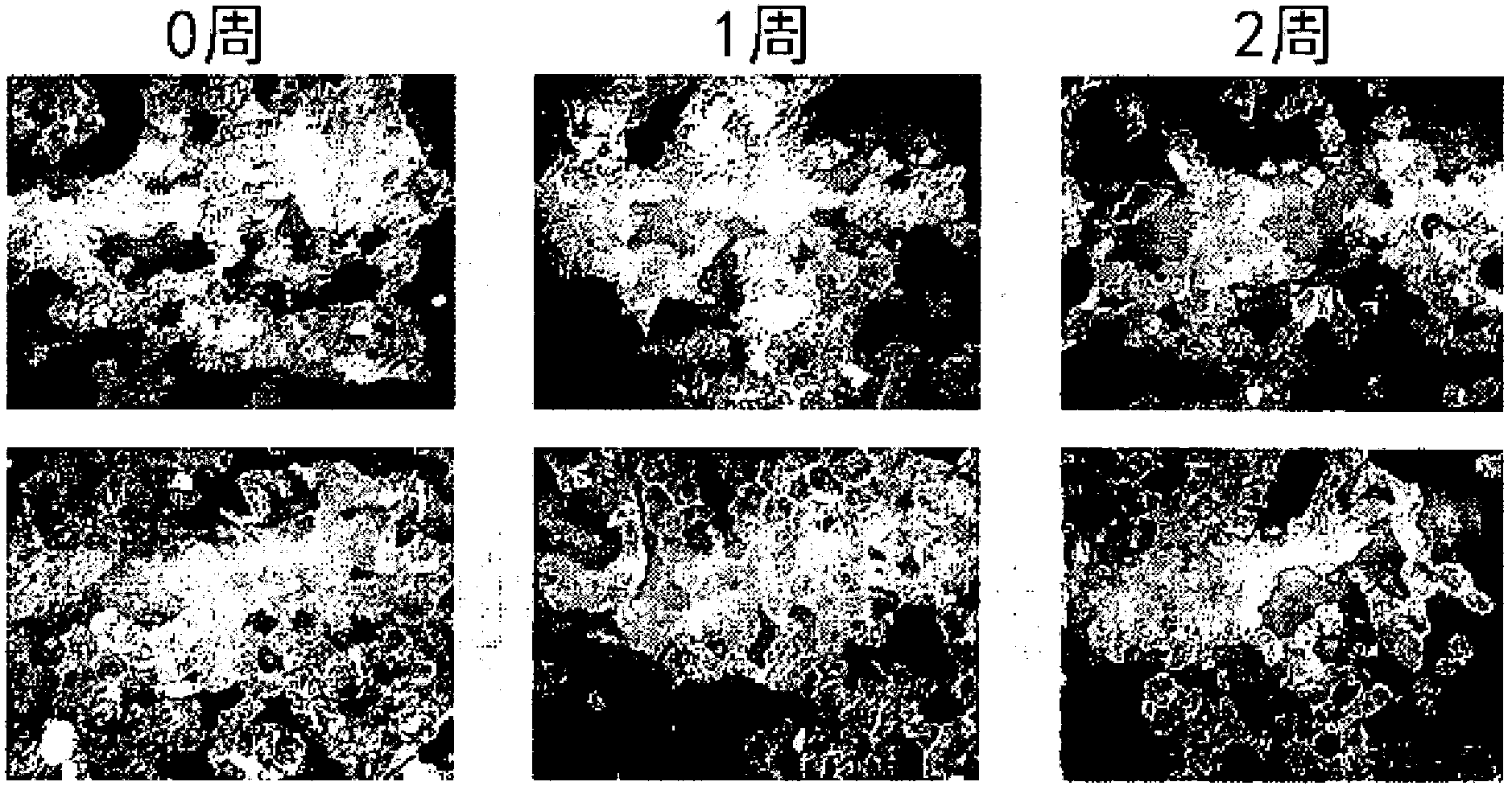 Water in oil type cosmetic composition for improving skin