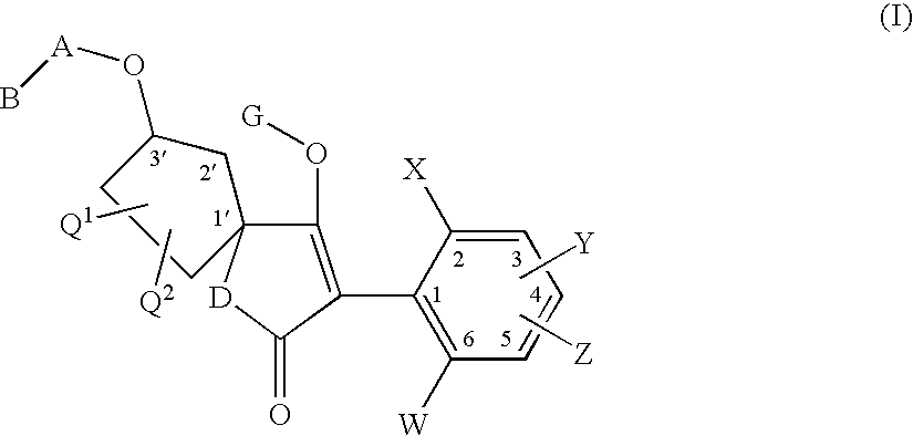 3′-alkoxyspirocyclopentyl-substituted tetramic and tetronic acids