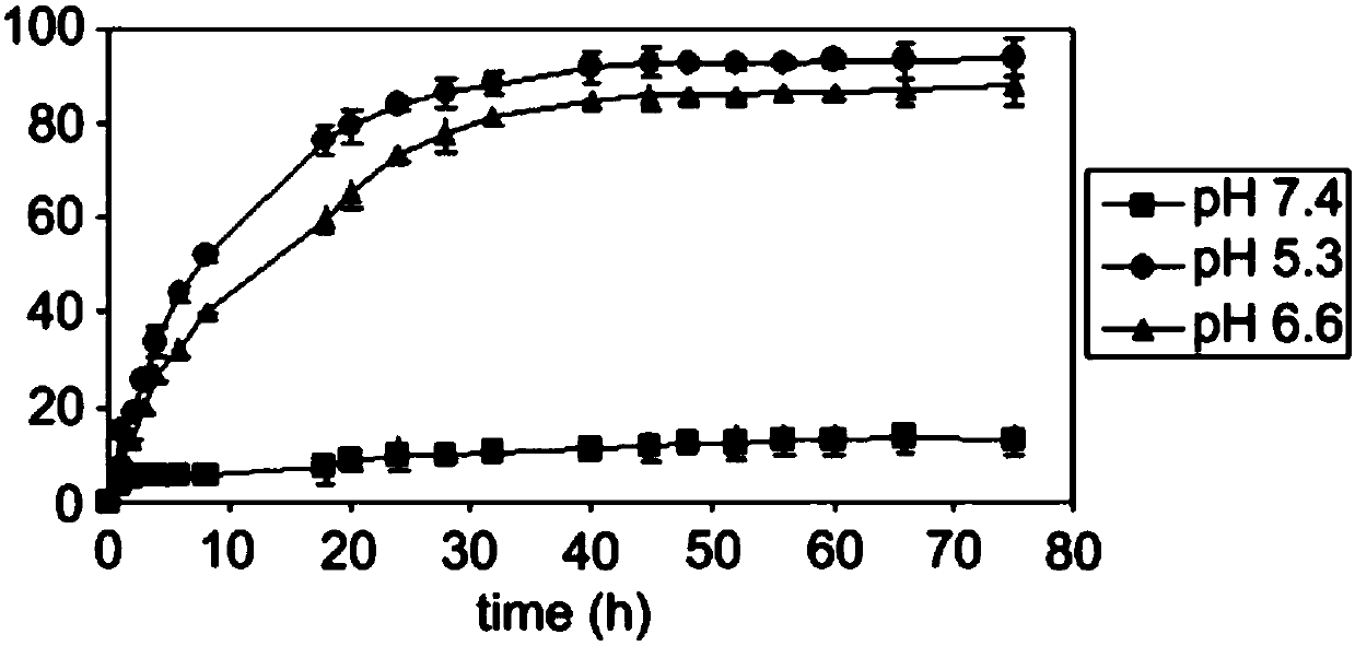 Environmental pH stimuli-responsive type tumor targeting and controlled drug release nano-carrier and preparation method of nano-carrier