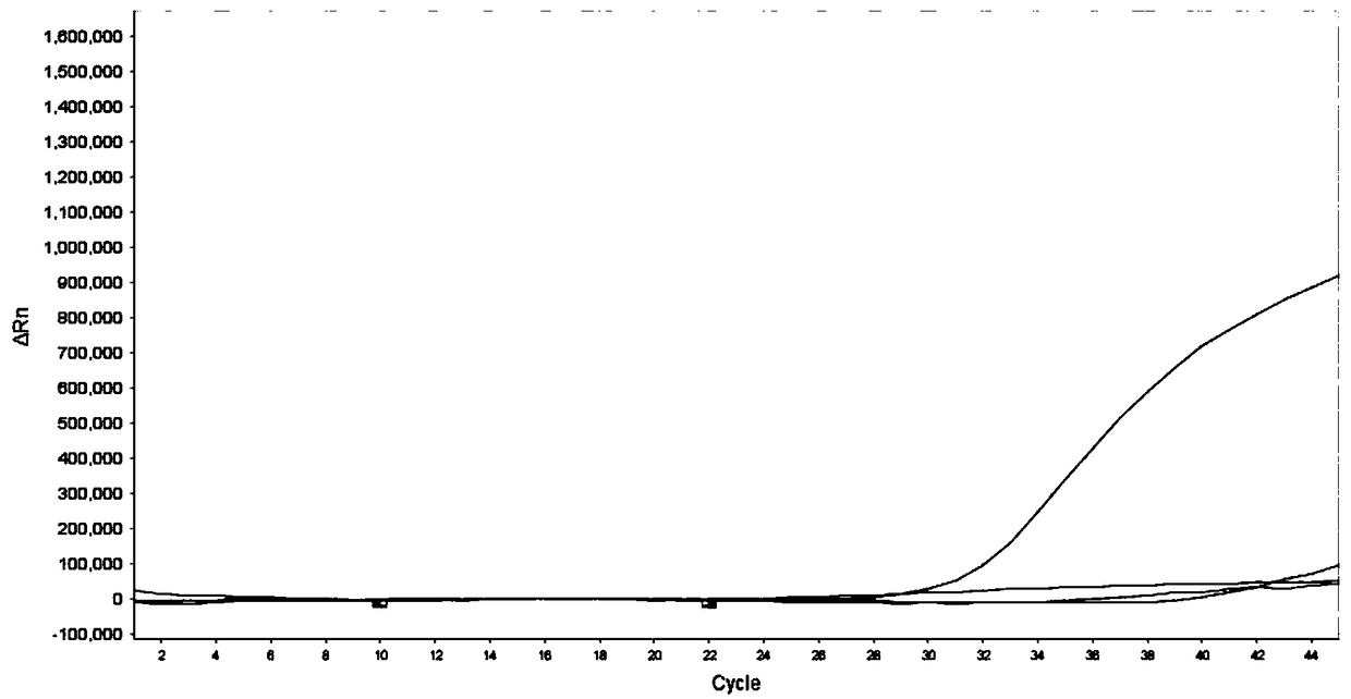 Method for transforming, recovering and purifying total DNA sulfite in human feces