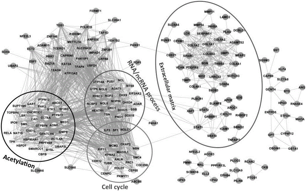 Application of group of gastric cancer genes