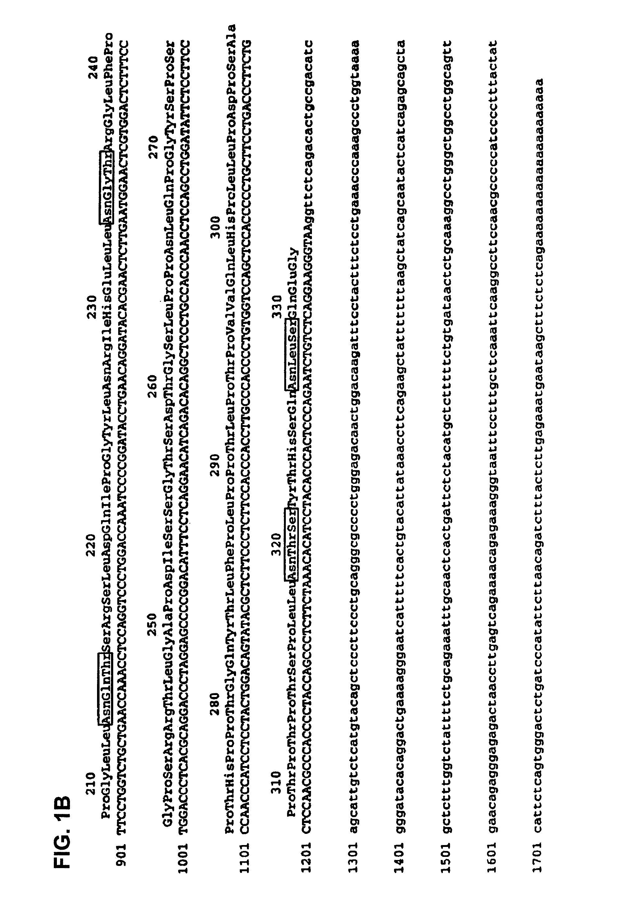 Monoclonal antibody to human thrombopoietin