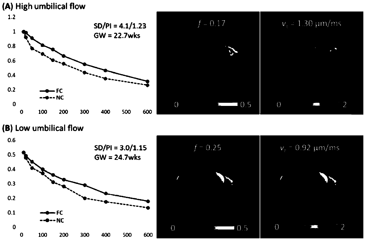 Method and device for measuring placental blood flow by utilizing flow-velocity compensated and non-compensated diffusion magnetic resonance