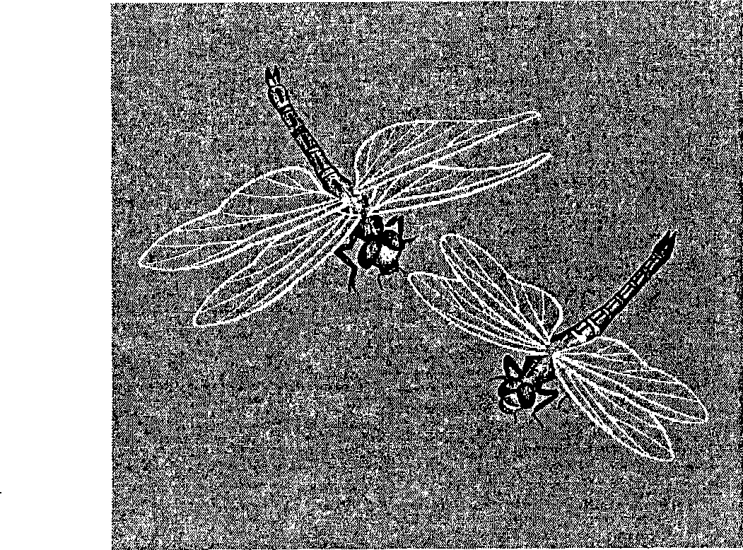 Anti-fake paper with contrasting watermark and making method thereof