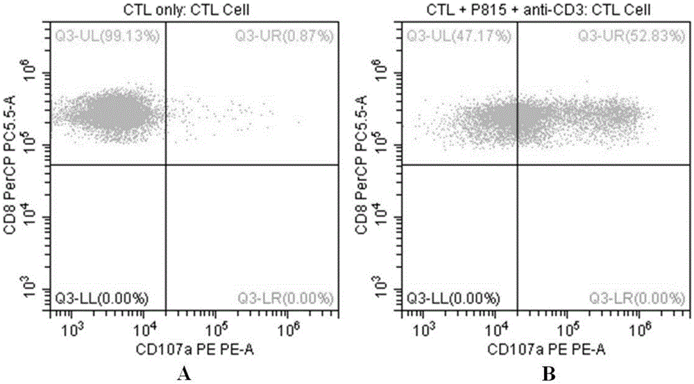 Flow-cytometry detecting method of cytotoxic-T-lymphocyte degranulation