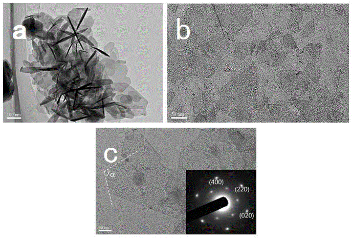 Preparation method of organic anion pillared rare earth hydroxide nanosheet sol