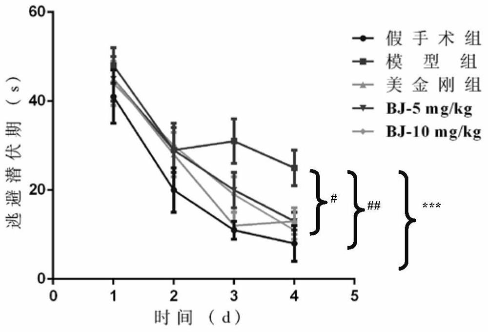 Application of white and effective parts in the treatment of senile dementia