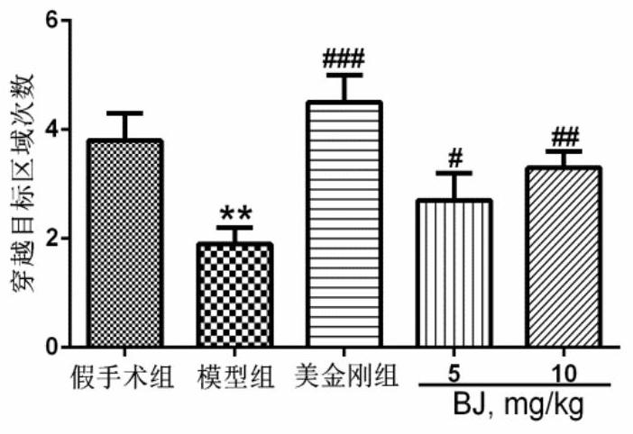 Application of white and effective parts in the treatment of senile dementia