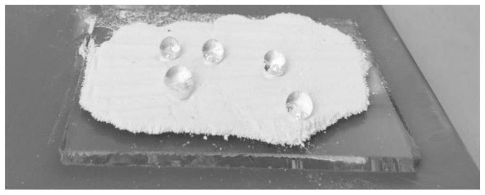 An integrated wear-resistant fluorine-silicon-based superamphiphobic coating on the bottom surface and its preparation method and application