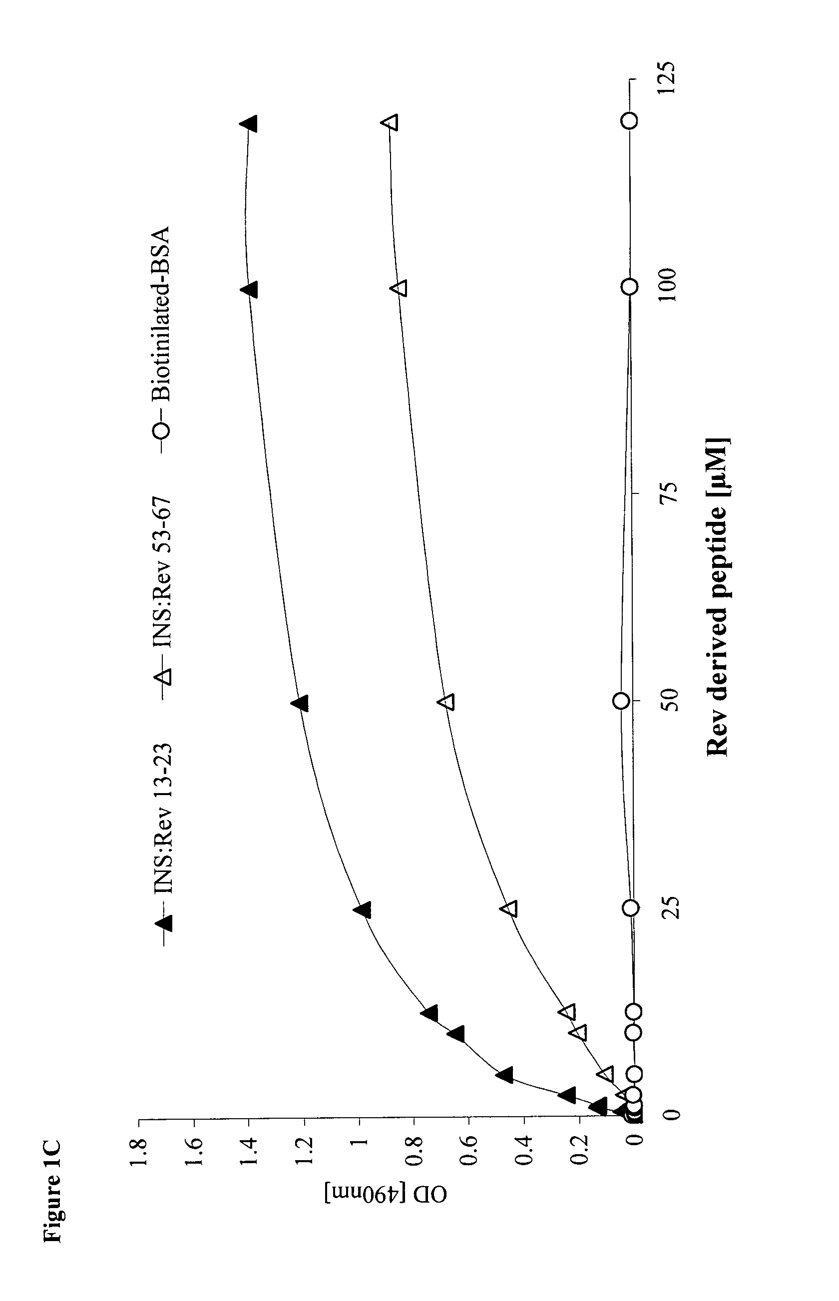 HIV-1 integrase derived stimulatory peptides interfering with integrase—Rev protein binding