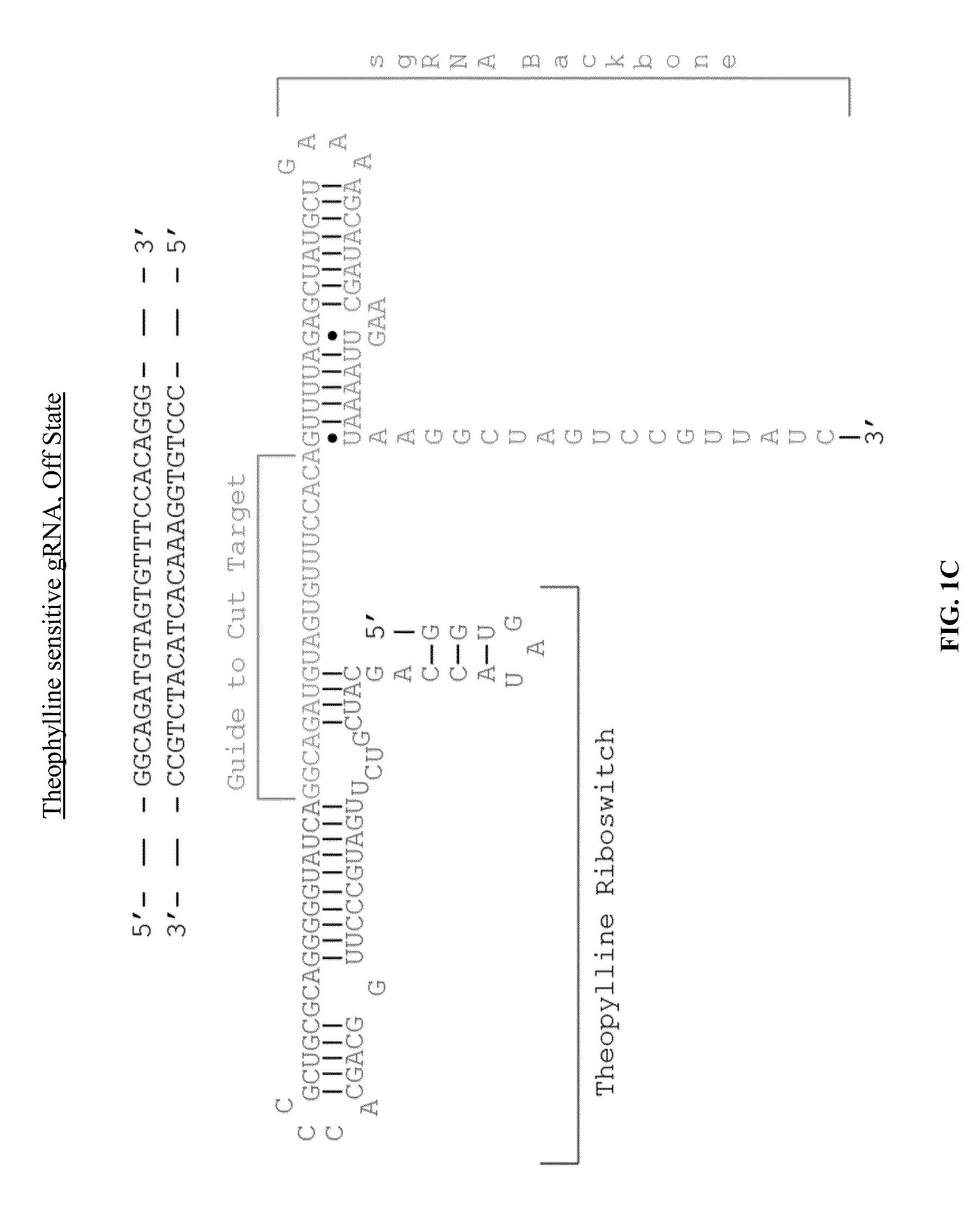 mRNA-Sensing Switchable gRNAs