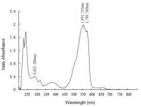 Method for preparing phycoerythrin through combination of centrifugal method and anion exchange chromatography media