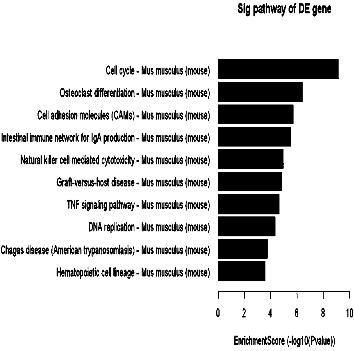 Novel liver cancer biotherapy method