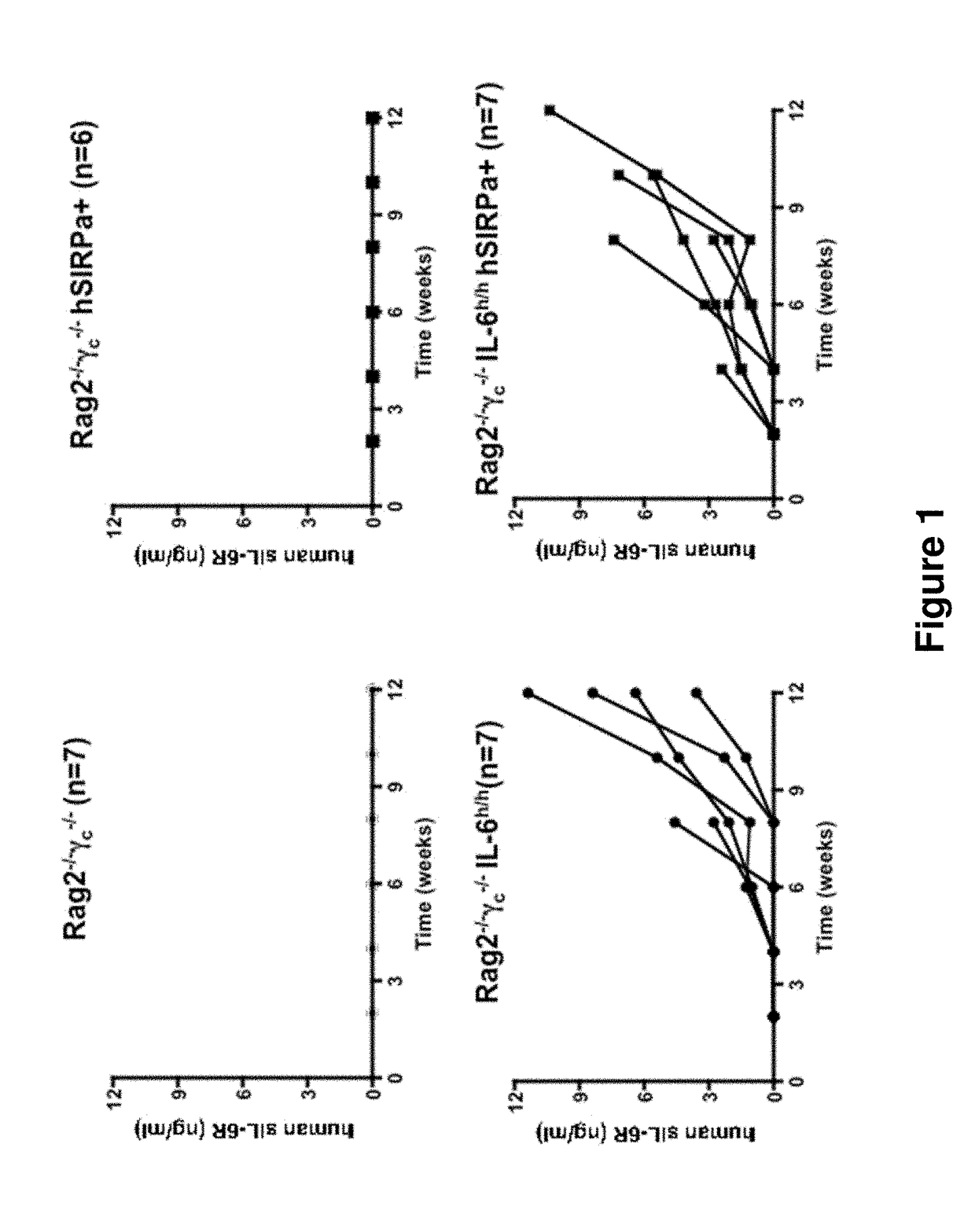 Genetically modified non-human animals and methods of use thereof