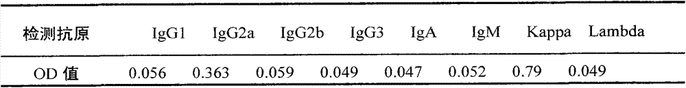 Hybridoma cell strain secreting porcine circovirus type 2 Cap protein monoclonal antibody