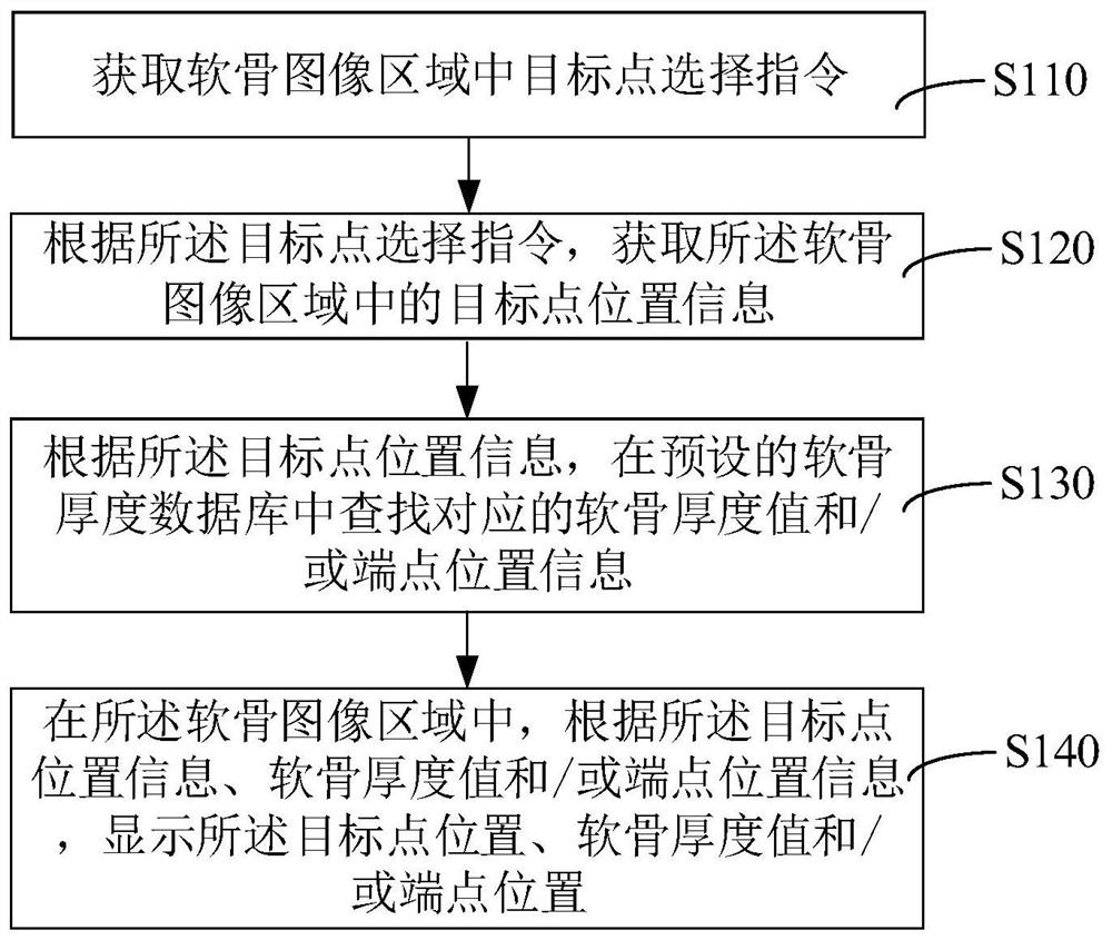 Cartilage thickness display method, device, computer equipment and storage medium