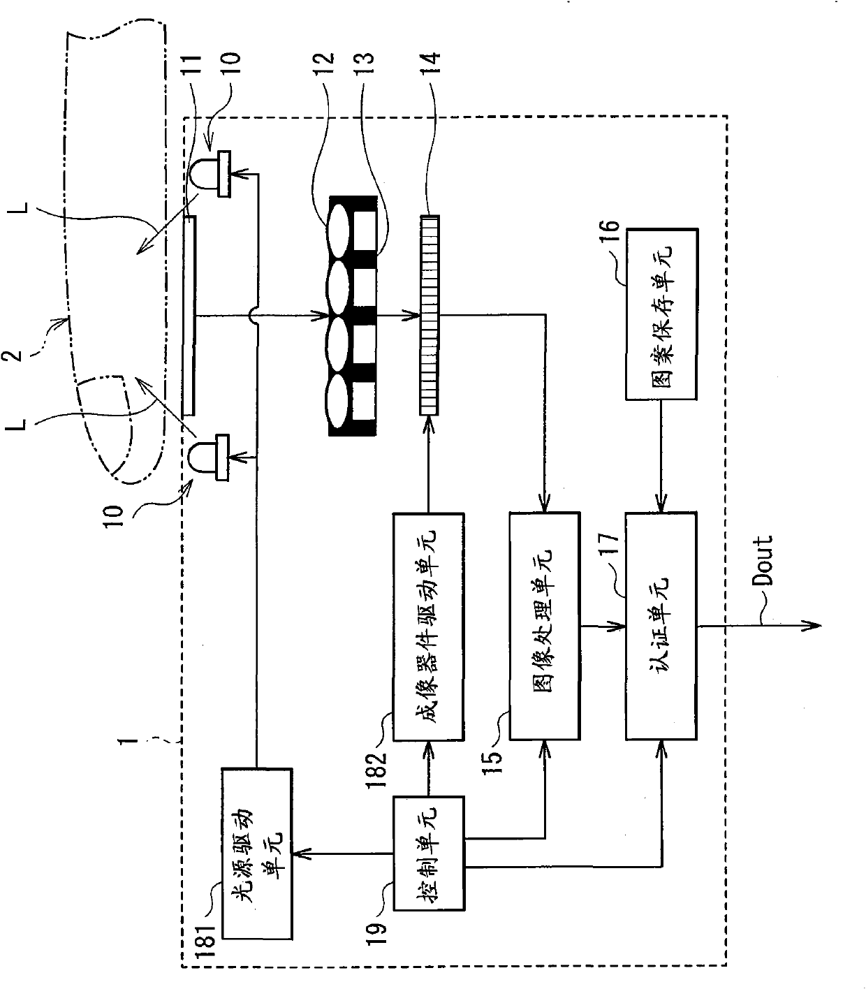 Biometric authentication apparatus