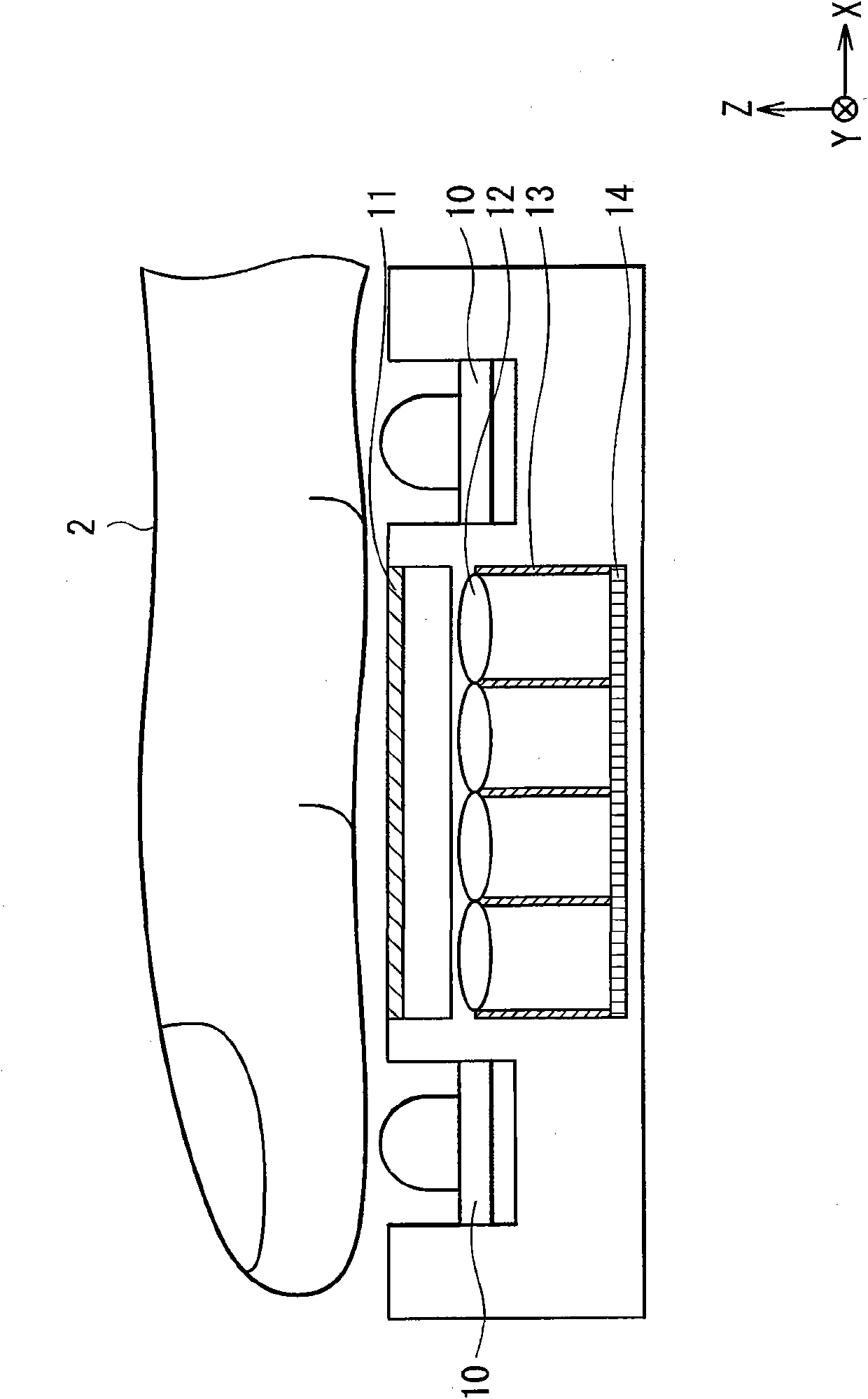 Biometric authentication apparatus