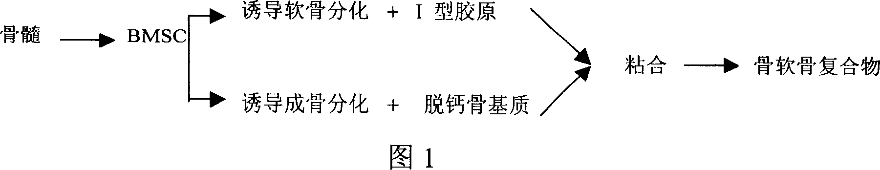 Preparation method of tissue engineering bone cartilage compound and its application