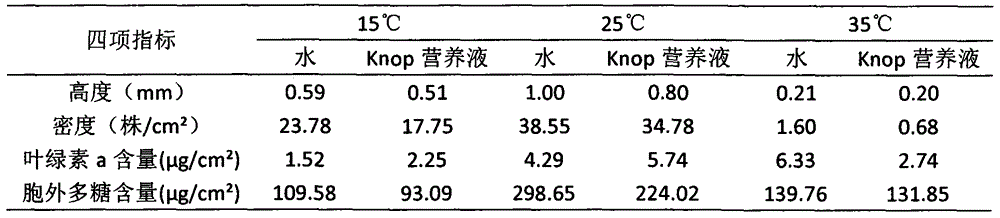 Rapid cultivating method of sand moss crust