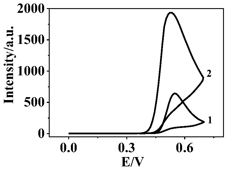 Double-inhibition electrochemiluminescence sensor and method for measuring glyphosate