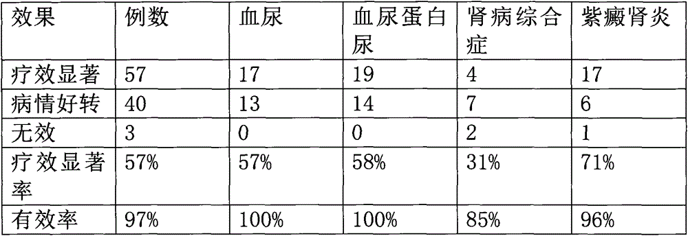 Compound kidney-tonifying medicine