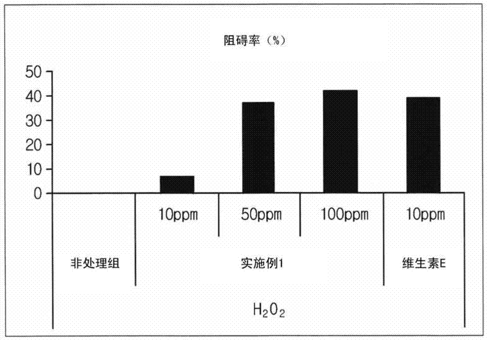 External preparation composition for skin comprising ginseng flower or ginseng seed extracts