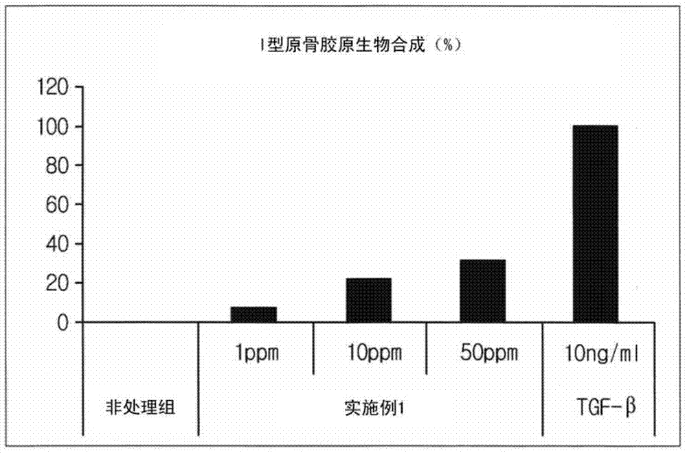 External preparation composition for skin comprising ginseng flower or ginseng seed extracts