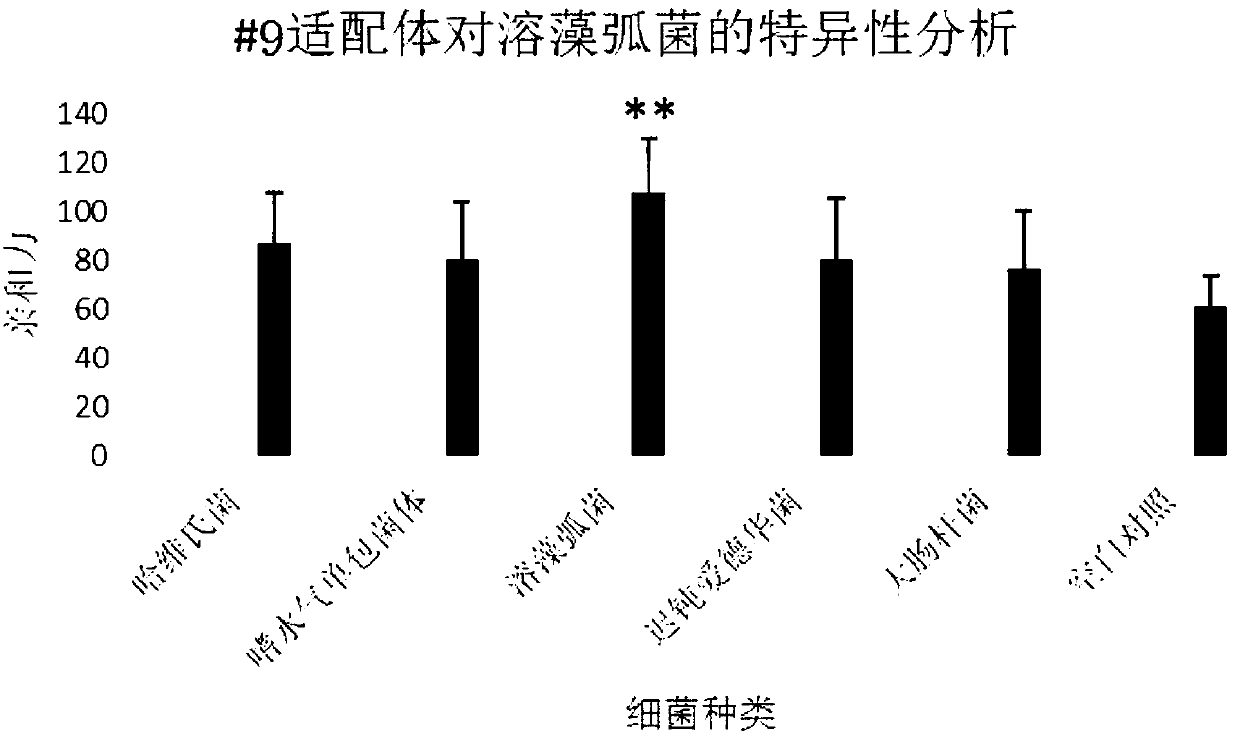 Aptamer-based quantitative vibrio alginolyticus detection method