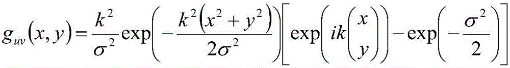 Wool cashmere recognition algorithm based on Gabor wavelet analysis