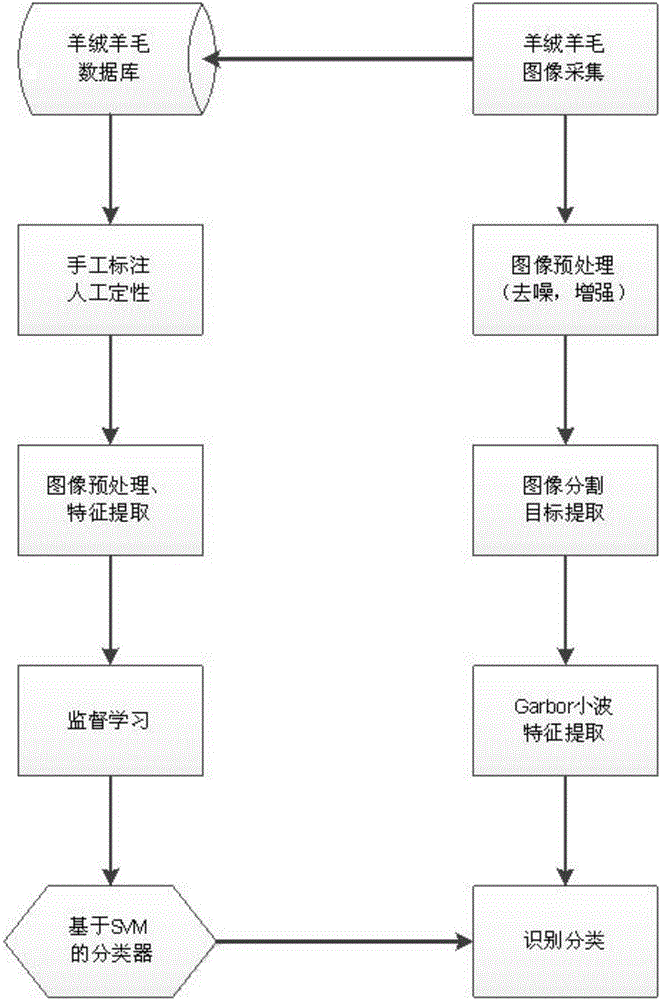 Wool cashmere recognition algorithm based on Gabor wavelet analysis