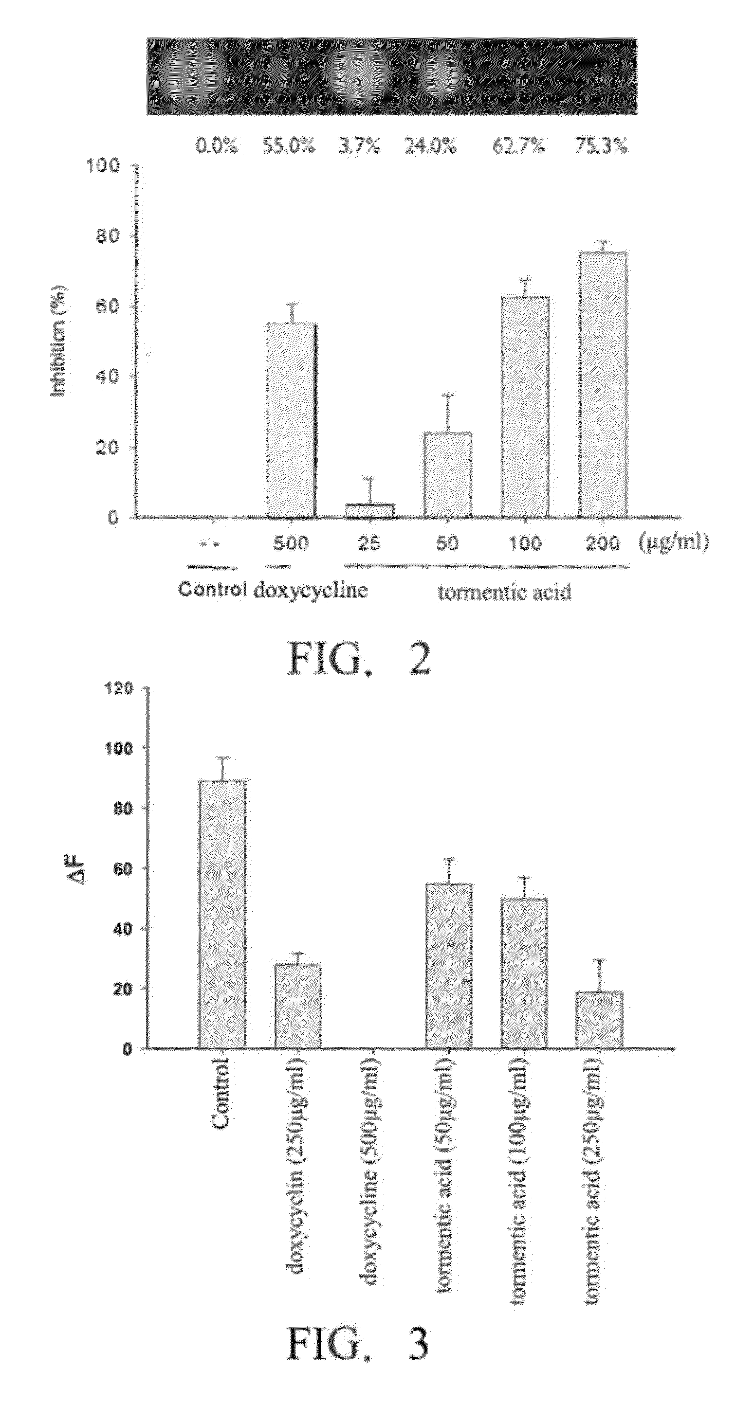 Method for inhibiting activity and/or expression of matrix metalloproteinase, inhibiting phosphorylation of mitogen-activated protein kinase, and/or promoting expression of collagen using tormentic acid