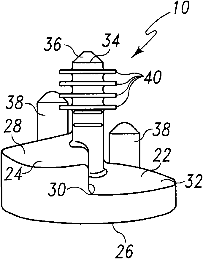 Reciprocating rasp surgical instrument